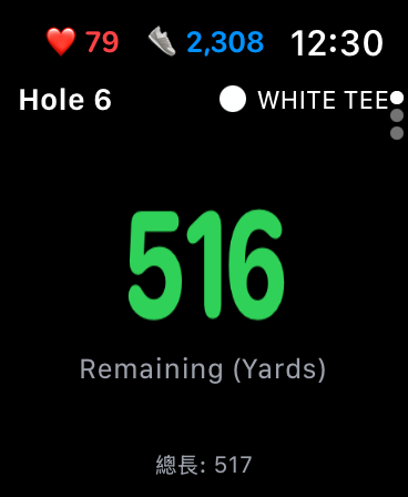 Smartwatch GPS