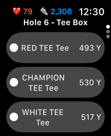 Smartwatch Tee Box